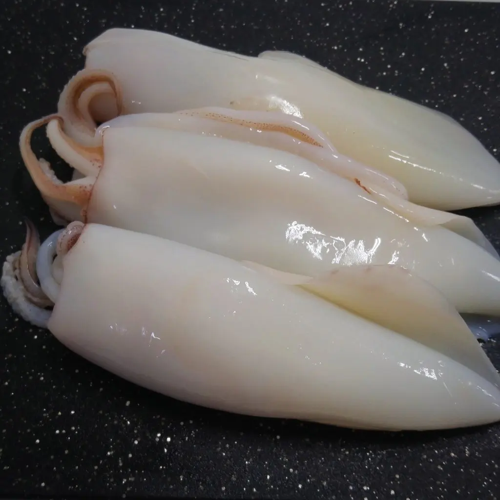 Frozen Seafood California Squid for Sale Good quality block frozen fresh squid cleaned seafood todarodes squid tube U8 U10 froze