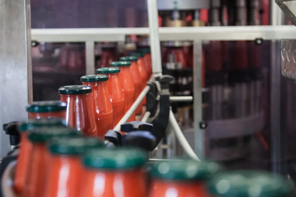 Top Quality Italian Organic Tomato Paste | glass 420g