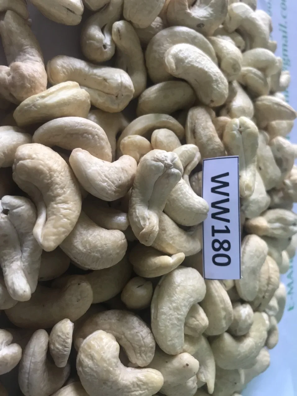 100% natural no additives nuts kernels dried cashew on sale W180 W210 W240 W320 W450 WS LP