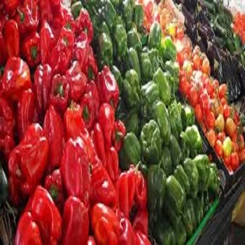 Fresh Capsicum