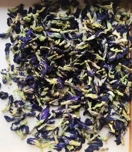100% Quality Dried Butterfly Pea Flowers for making Tea / Shyn Tran +84382089109