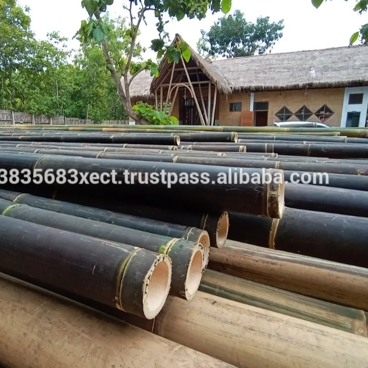 
Black Bamboo Poles Natural Straight Non-Treated 240-600cm 