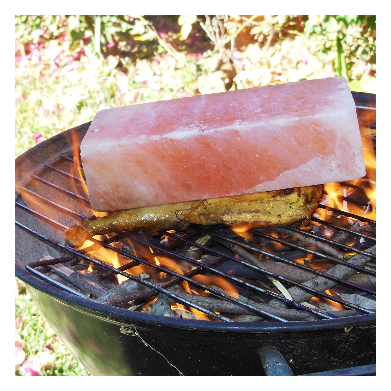 Branded Top Quality Custom Carved Pink Himalayan Salt Slabs Plates For Grilling And Cooking From Pakistan Grilling Cooking