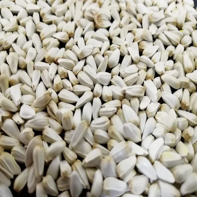 
Bulk Supplier of Safflower Seeds/Wholesale Safflower 