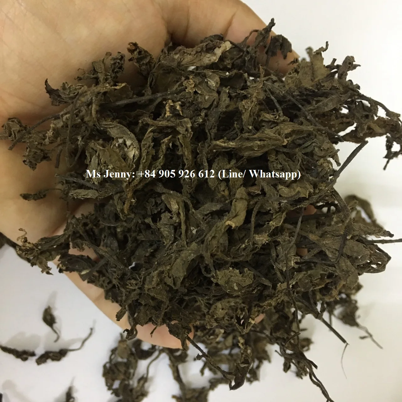 DRIED JELLY GRASS PREMIUM
