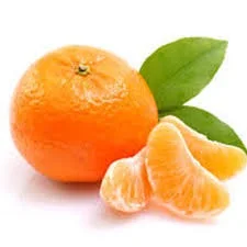 A Grade Excellent  100% Top High Quality Cheapest Factory price Whole sale Fresh Mandarin Orange  tangerine