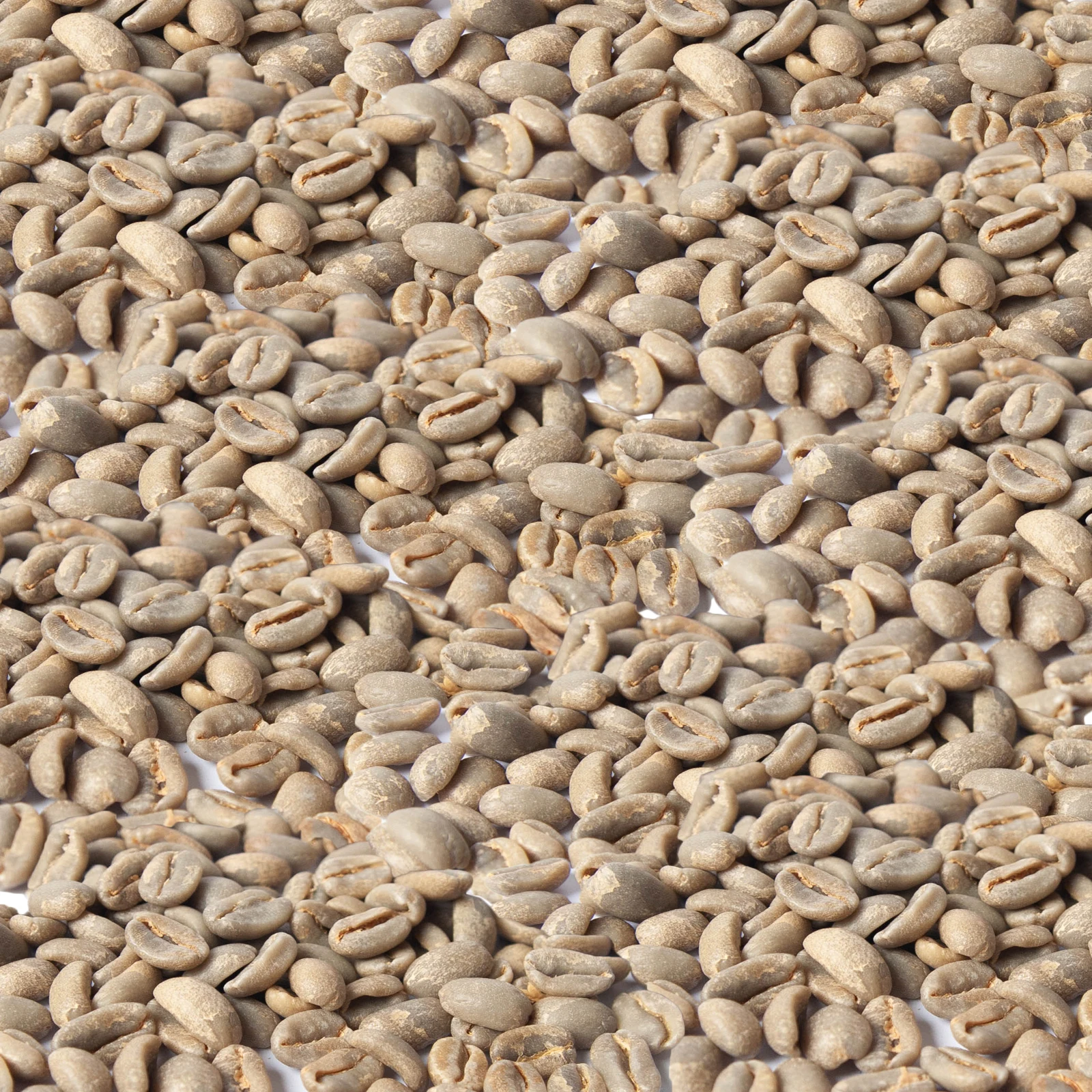 
Indonesia Mandheling G3 Washed Green Coffee Beans Wholesale Franchise For Sale 