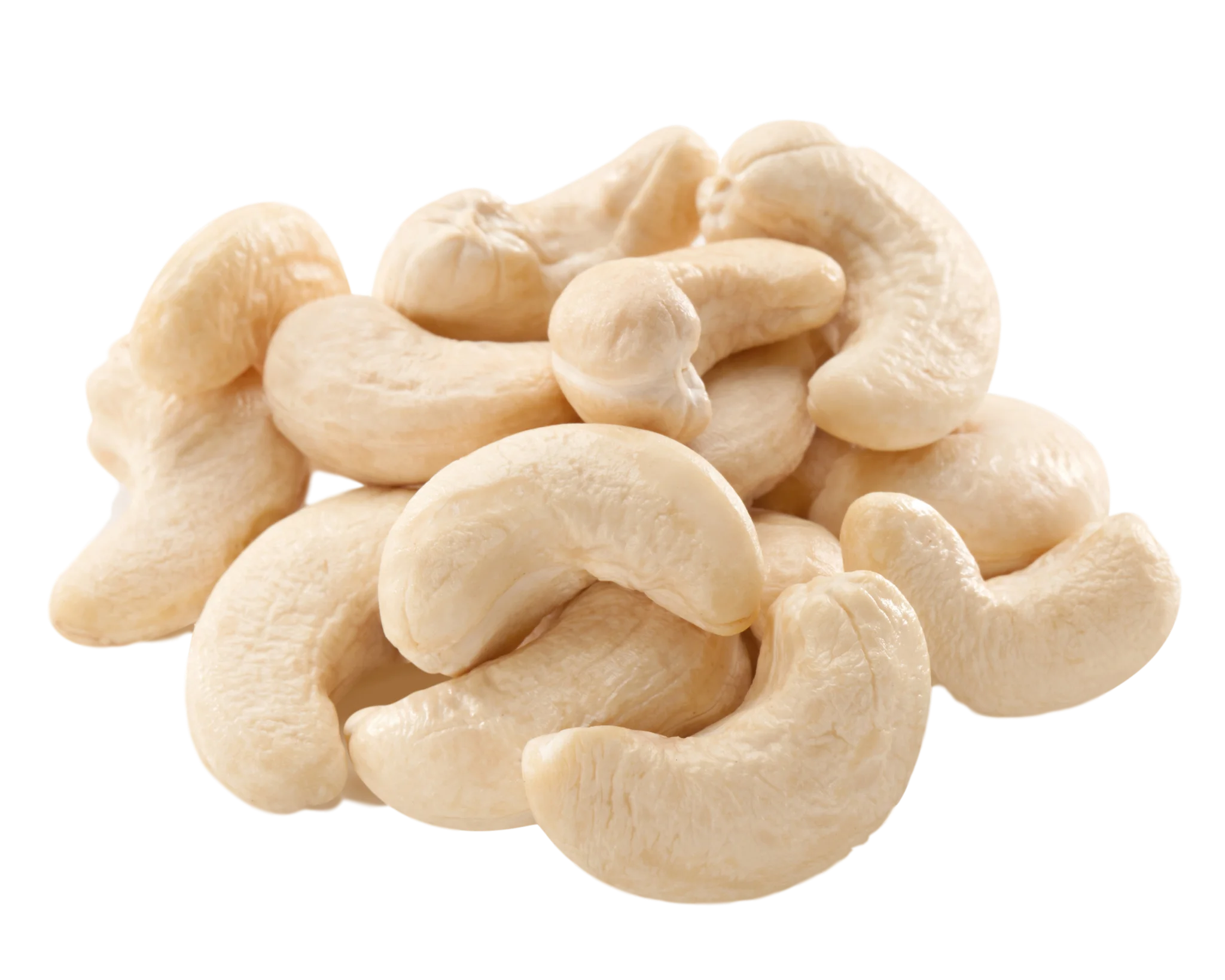 
PREMIUM CASHEW KERNEL - GRADE WW240 