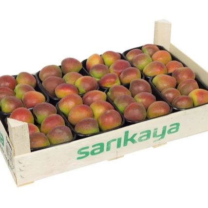 
Quality Fresh Apricots Now Available ready for Export 