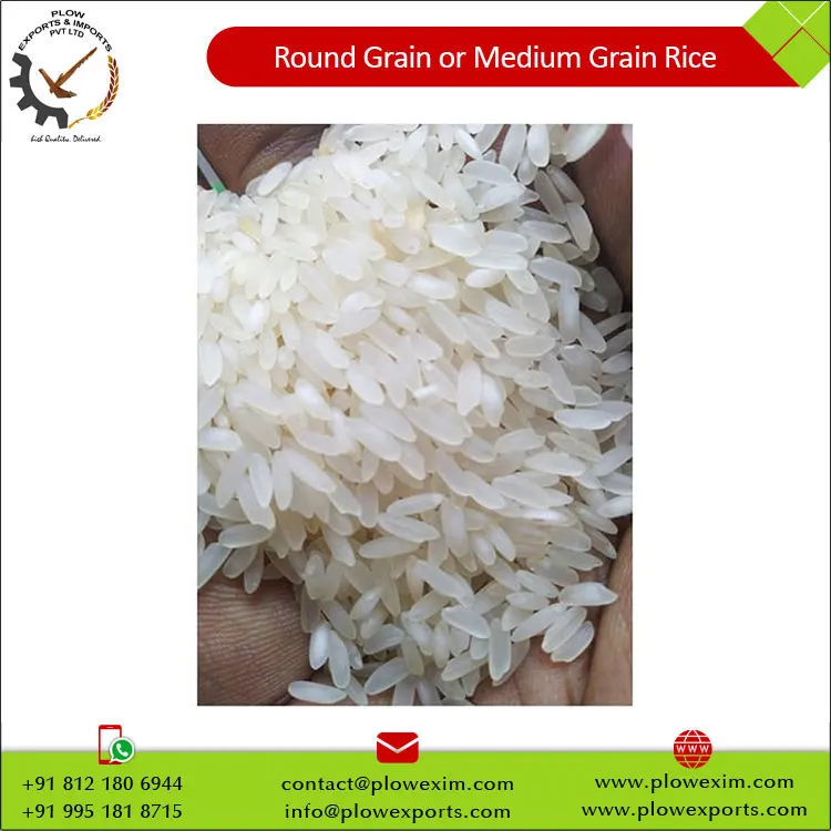 Round Grain or Medium Grain Raw Rice 5% Broken Round Rice Bulk Supply