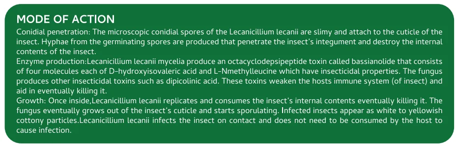 Screenshot (1073).png