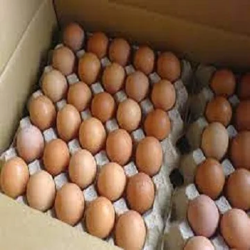  Свежие коричнево-белые настольные яйца/свежие куриные яйца Распродажа по лучшей