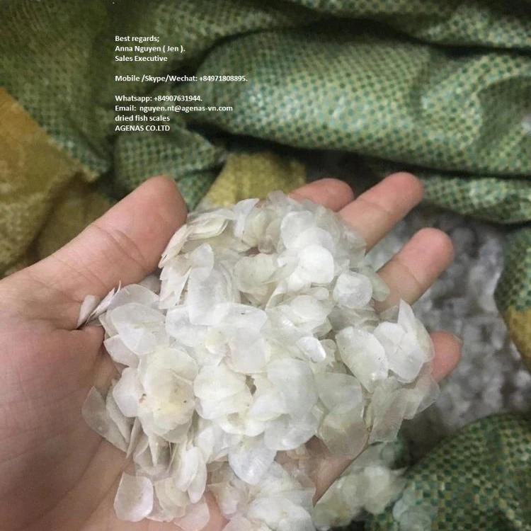 Fish Scale for collagen, good price and quality now stock From Vietnam AGENAS