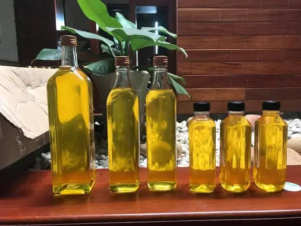 Sacha Inchi Oil | - 100% Pure and Natural Essential Oils Wholesale Bulk