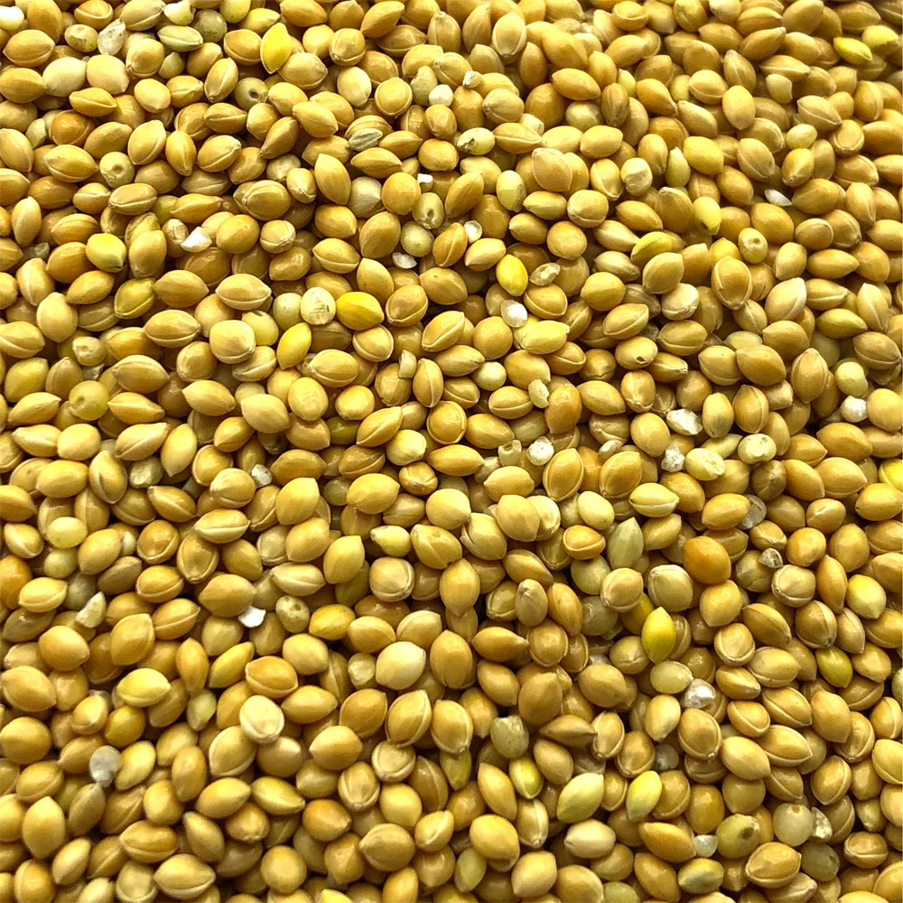 Высококачественные органические пакеты из проса 25 кг, продукт из России