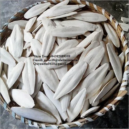 WHOLESALE CUTTLEFISH BONE/ HIGH QUALITY CUTTLEFISH BONE WITH BEST PRICE ( Shyn Tran +84382089109 )