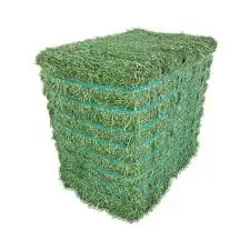high protein cheap alfalfa hay Animal