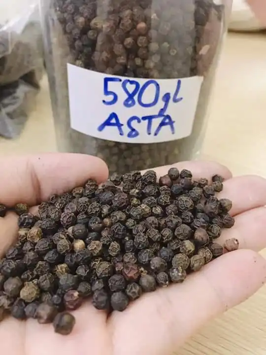 Вьетнамский сушеный черный перец ASTA 500GL-550GL Прямая поставка с завода Schwarzer lada hitam Pfeffer Высококачественная продукция по лучшим ценам