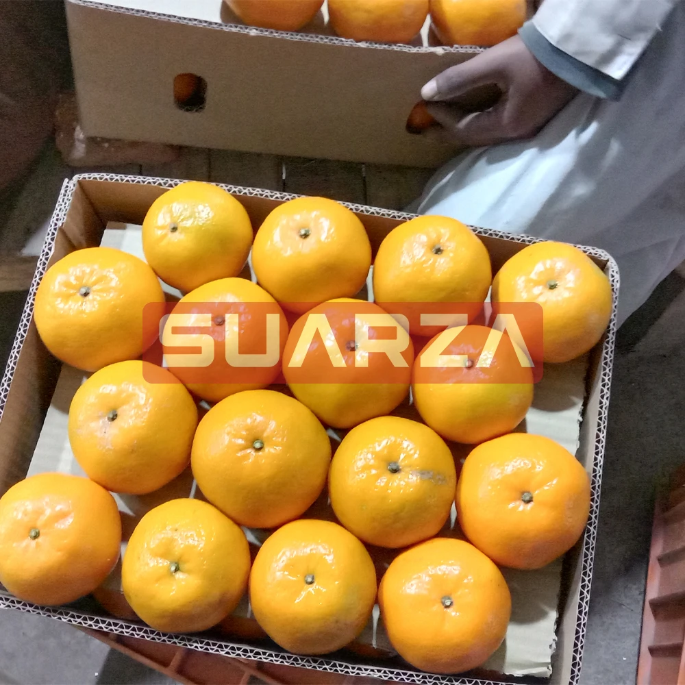 Best Sale High Quality Competitive Price Orange
