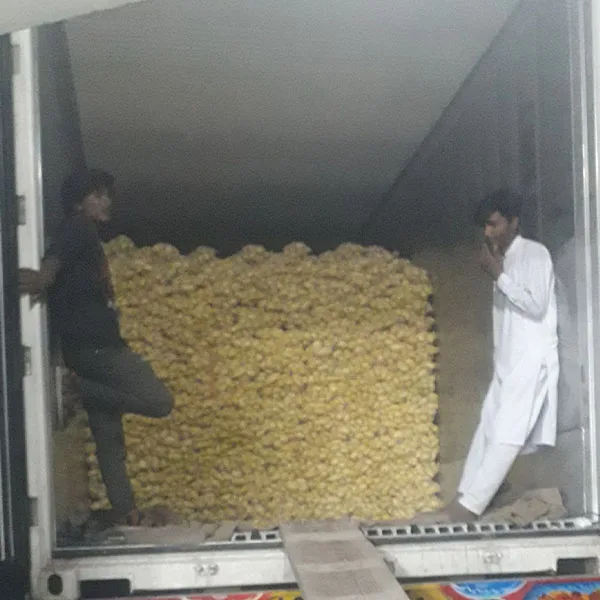 Свежий картофельный завод в Пакистане