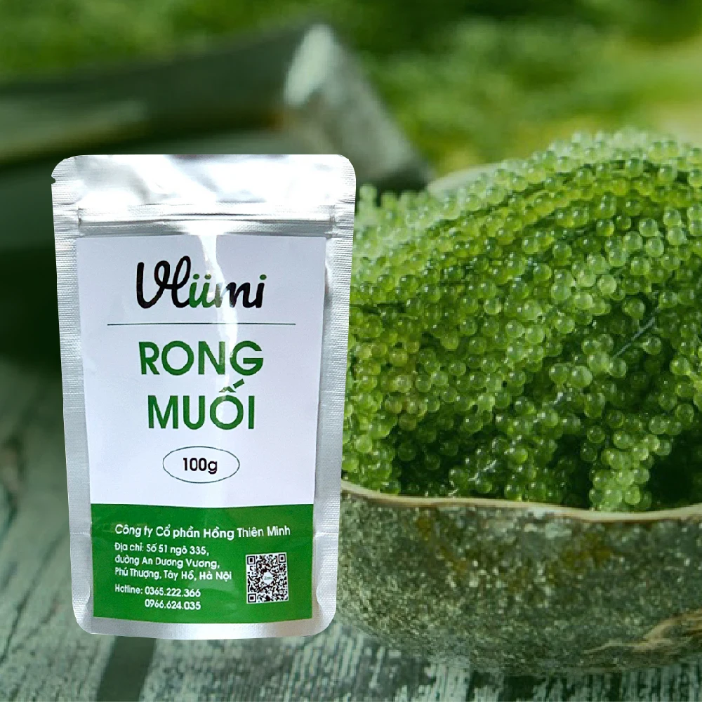 High Quality 100% Organic Dehydrated and Marinated Sea Grapes From Vietnam Distributor