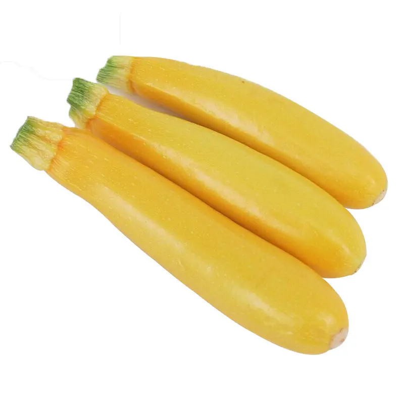 Good resistance high yield vegetable seeds hybrid f1 squash seeds