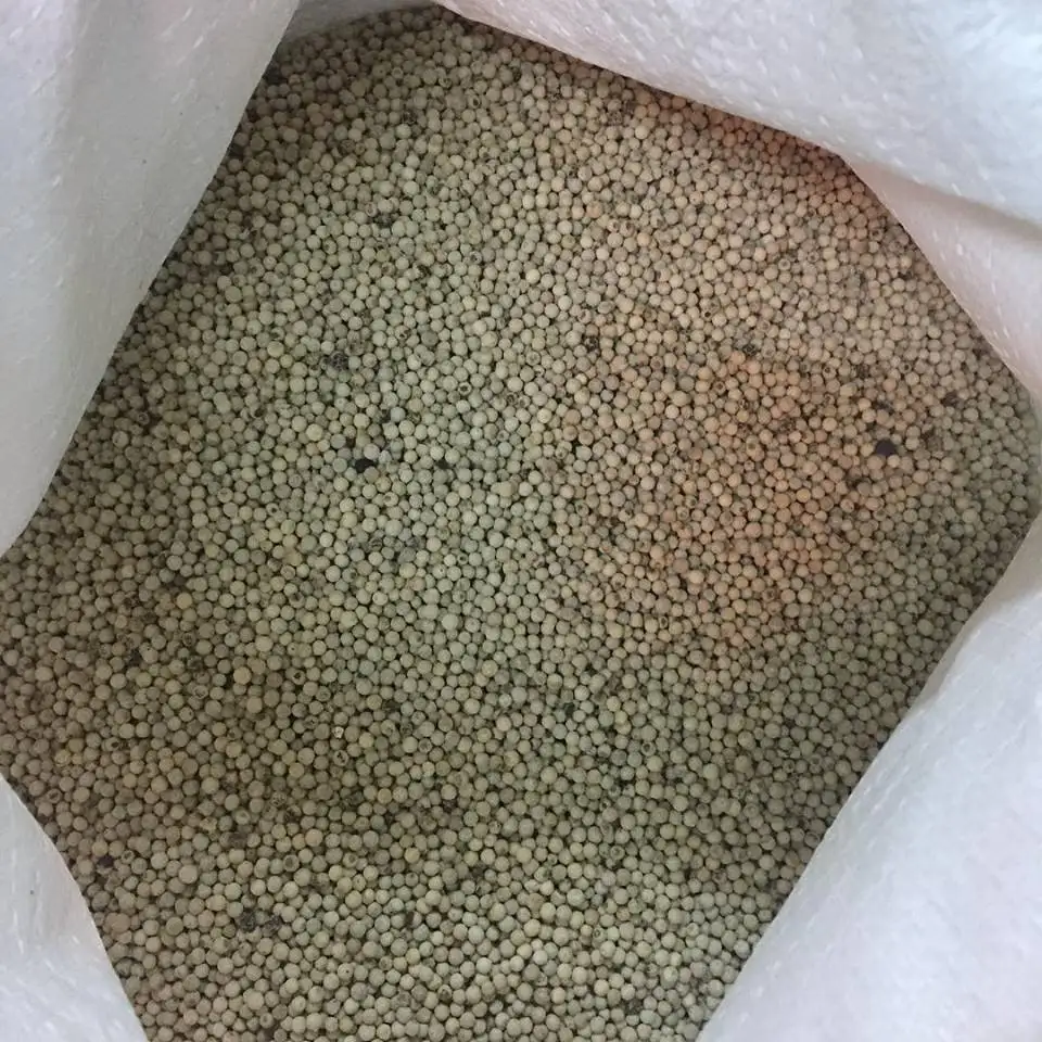 
 Вьетнамский стандарт ASTA для черного перца (WHATSAPP: 0084 164 9078 009)  