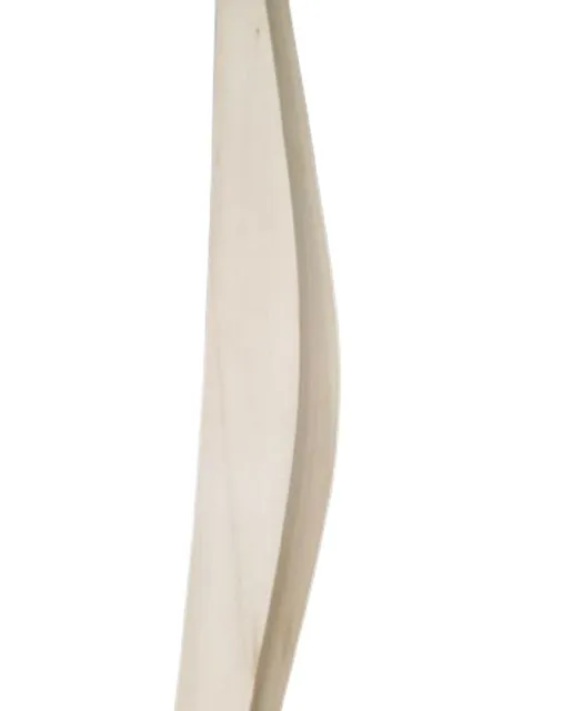 Factory price reasonable price for everyone High Quality Cricket Bat with High Performance And Good Punch in Low Price