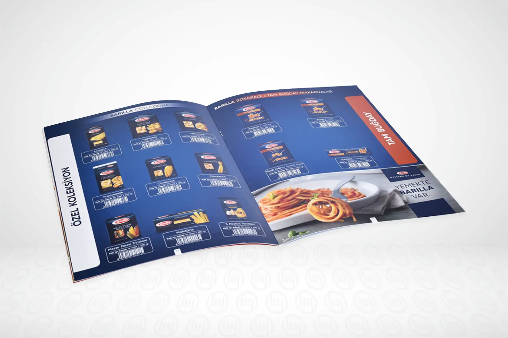 Catalogue Prints manufacturer manual booklet professional low cost High quality offset primtimg