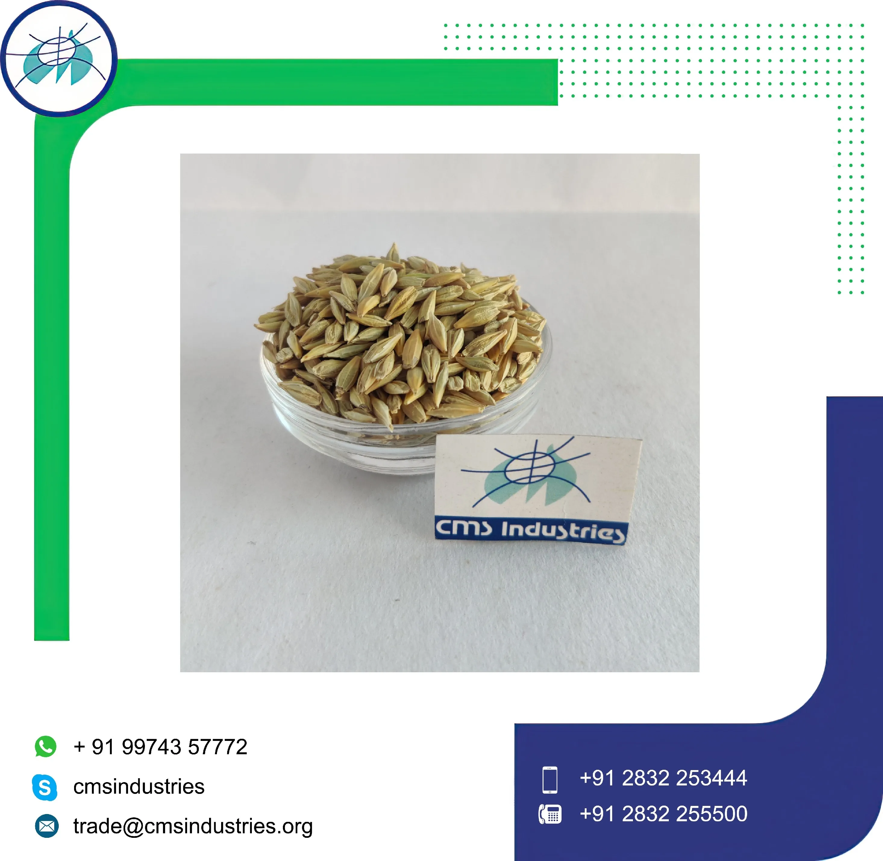 Indian Grown Pure Barley