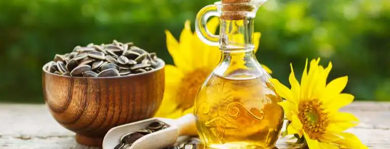 wholesale Sunflower oil Refined Edible Sunflower Cooking Oil Refined Sunflower Oil from South Africa