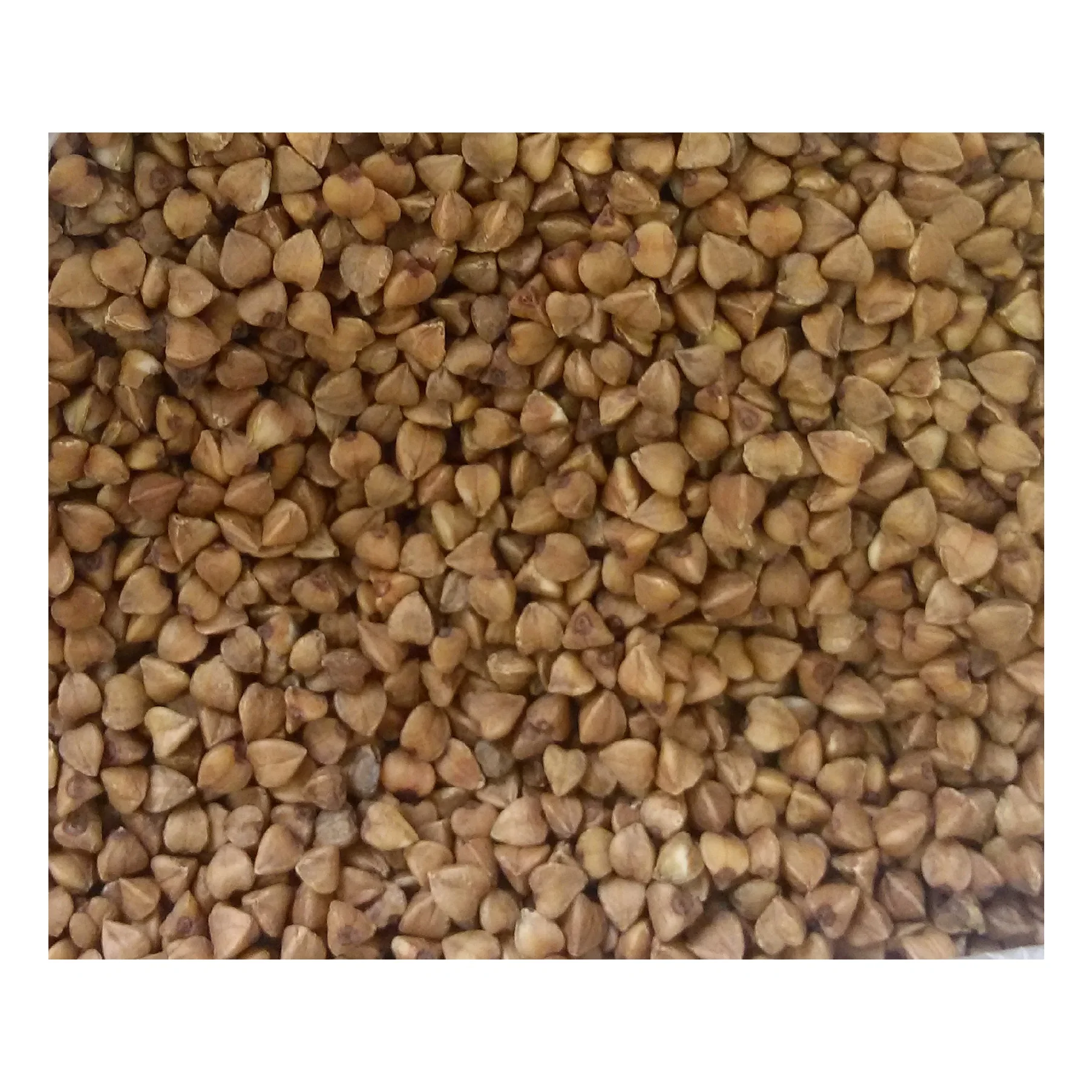 
Hulled organic buckwheat groats for human consumption 