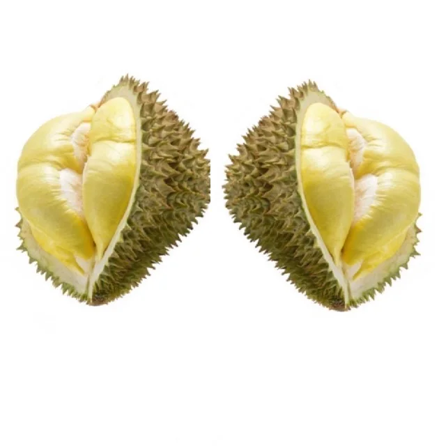 30 to 36 days Shell Life Common Cultuvation Type Durian fresh durian from Thailand export from Thailand
