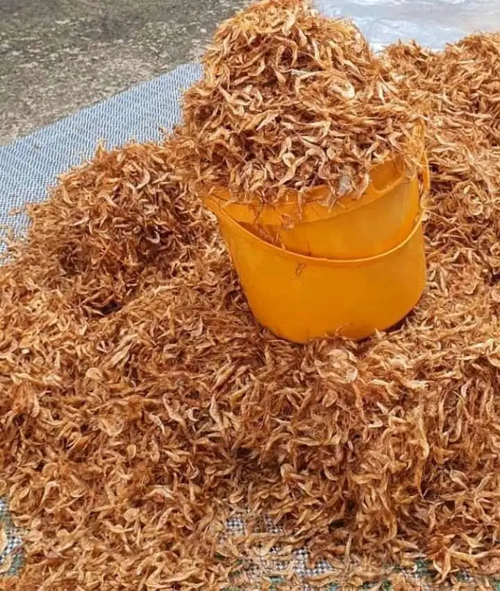 dried Yellow CRAYFISH / Lobster