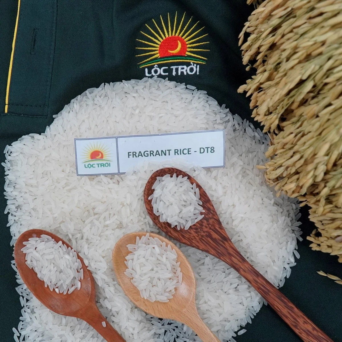 Top Export Long Grain Fragrant Rice/White Rice DT8 Variety from Vietnam Best Supplier Contact us for Best Price