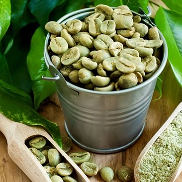 COMPETITIVE PRICE OF GREEN COFFEE BEAN VIETNAM