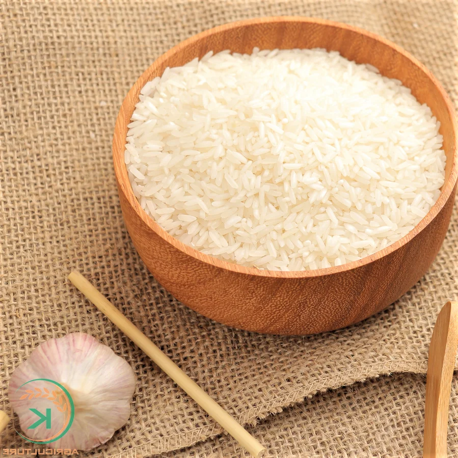 Delicious ST24 rice from vietnam best long grain white rice