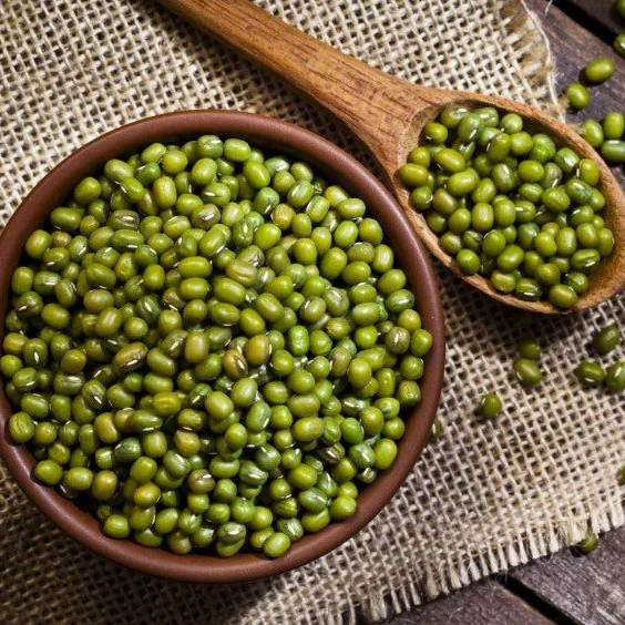 BEST PRICE Dried Green Mung Bean with high quality from Vietnam - ATL GLOBAL