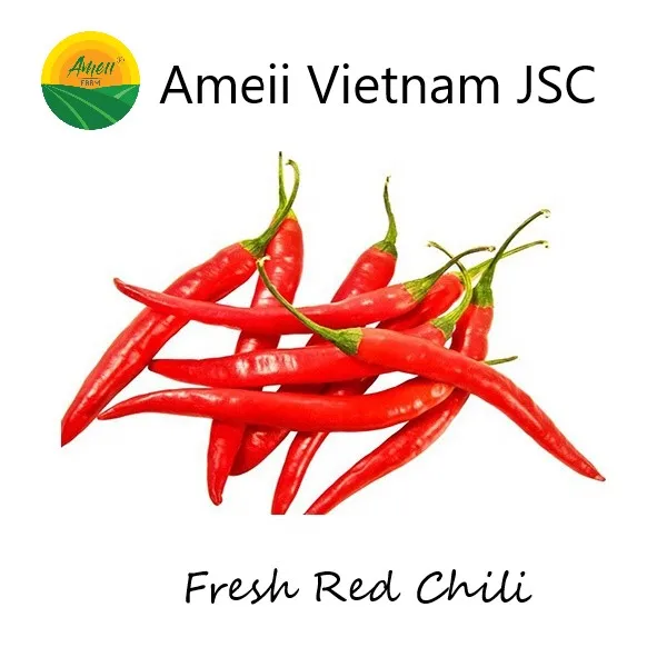 Fresh Red Chili Supplier, High quality chili from Vietnam