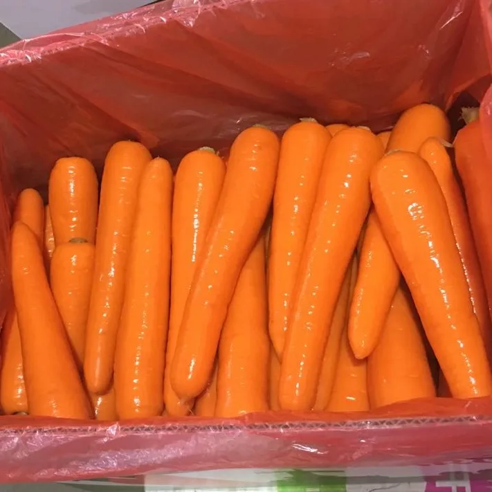2021 High Quality Fresh Vegetable Fresh Carrot