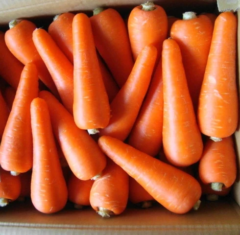  Supply Dried Carrot/ Fresh Frozen Carrot with High