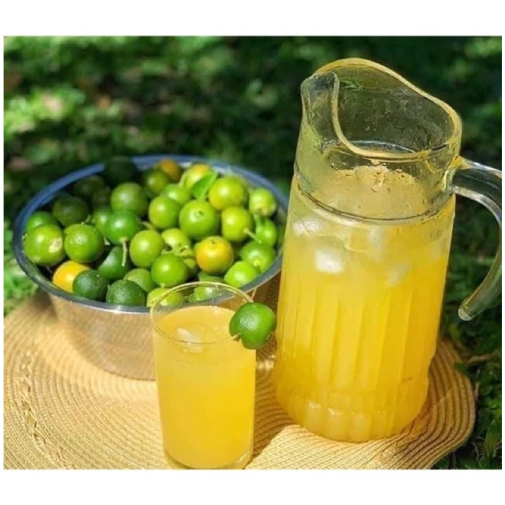 Premium Quality Certificate Juice Bottle Lower in Sugar Frozen Calamansi Flavor Juice Concentrate From Vietnam