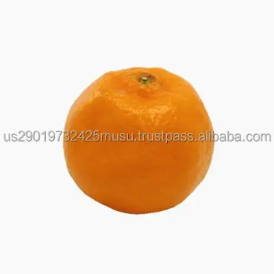 7129.jpg