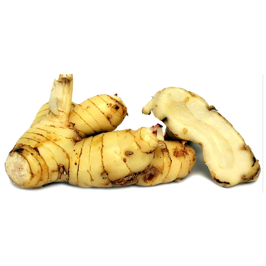 100% GALANGAL DRIED SLICES CHUNKY CUT ROOT RHIZOME ORGANIC NATURAL HERBS SPICY PREMIUM QUALITY NO CHEMICAL PRODUCT OF THAILAND