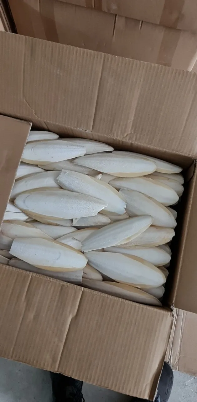 Сушеные кости для морской рыбы высококачественные чистые натуральные морепродукты оптом сушеные