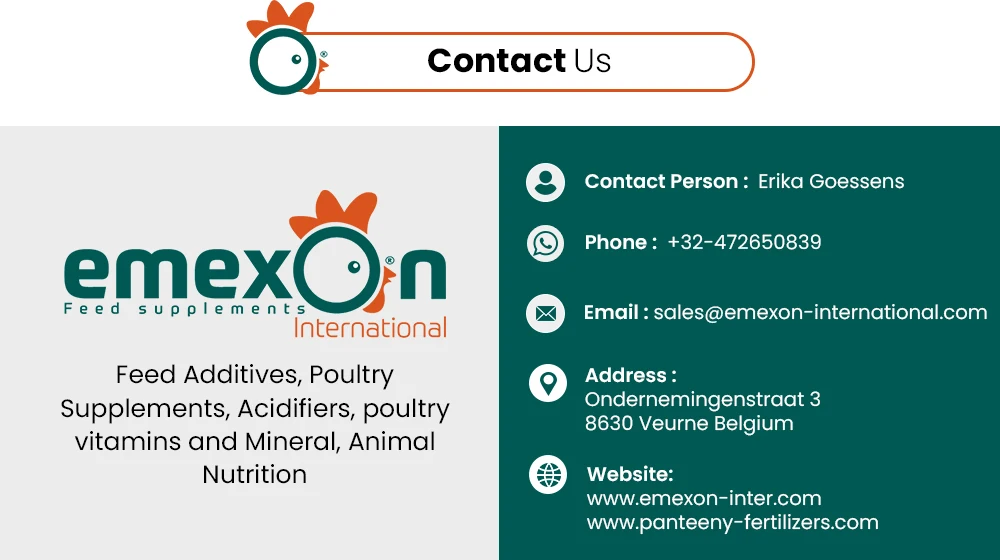 contact-Us (1).jpg