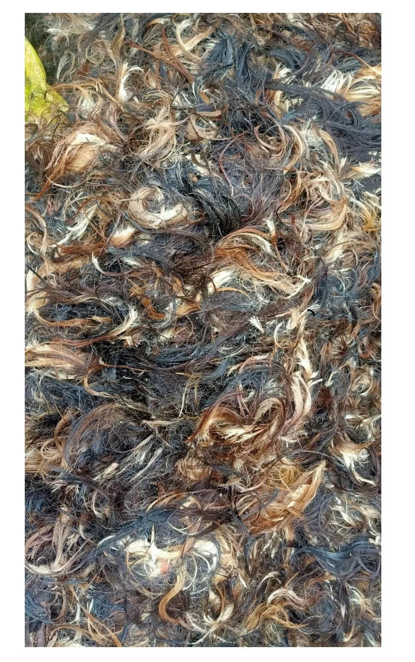Best quality cow and  Buffalo and Horse tail hair brushes  for export Manufacturer of Cow Buffalo Tail Hair Natural Cattle