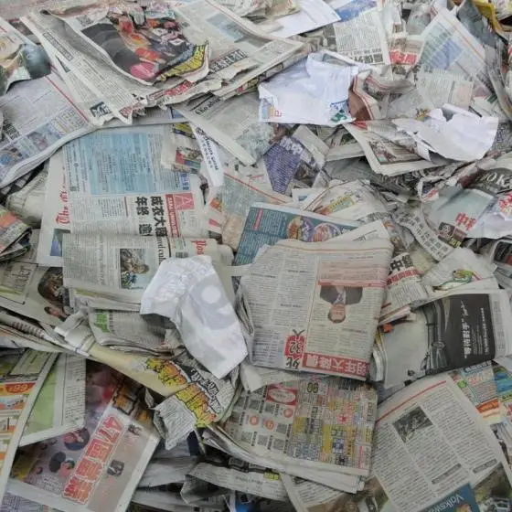 paper waste1.jpg