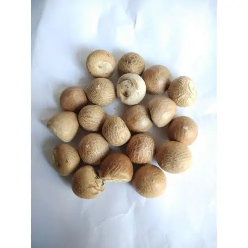 Лучшие гайки Betel оптом и низкая цена