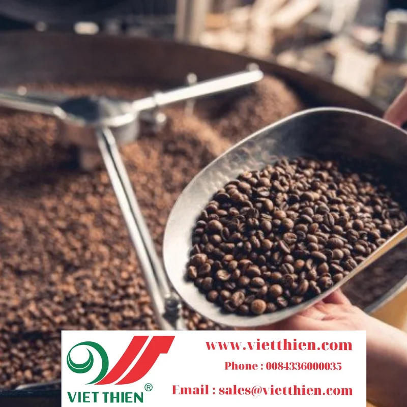 Кофе Арабика является ведущим популярным кофе в мире целом а во Вьетнаме частности имеет маленькие и низкие листья